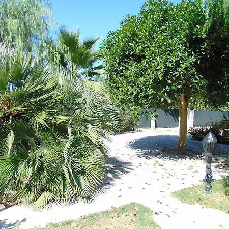 In Con Giardino A 200m Dal Mare Apartment